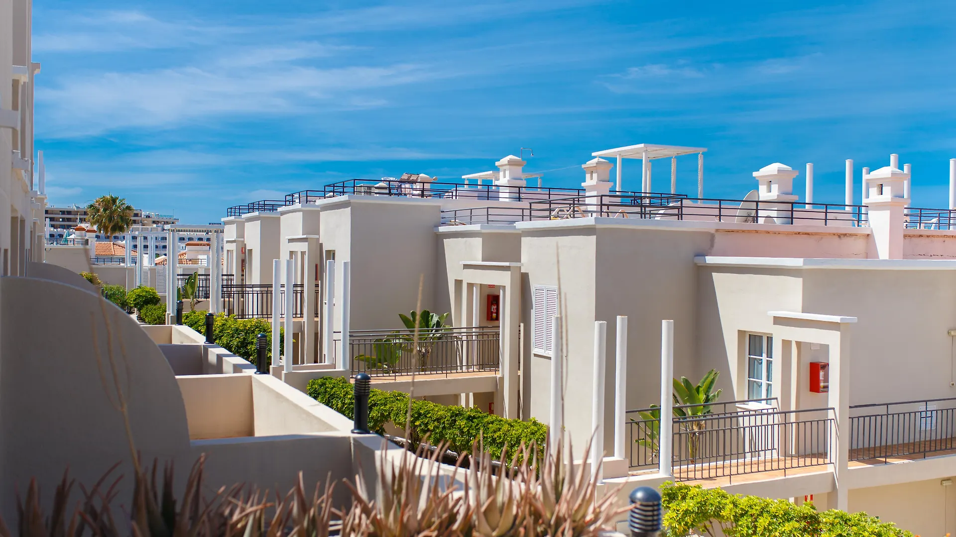 Hotel Los Olivos Beach Resort Costa Adeje